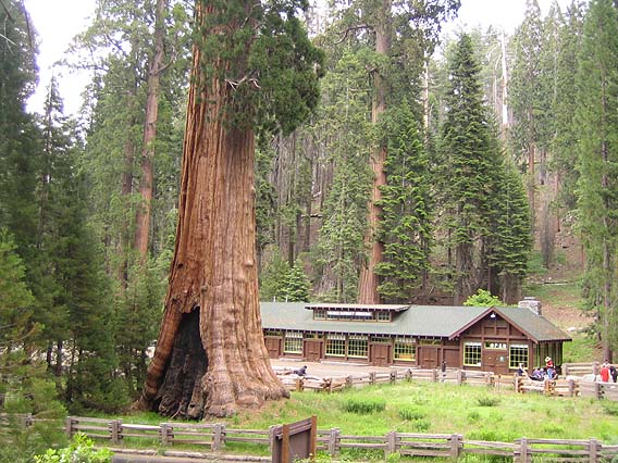 060624－0704 アメリカ国立公園ビッグドライブ 27日
